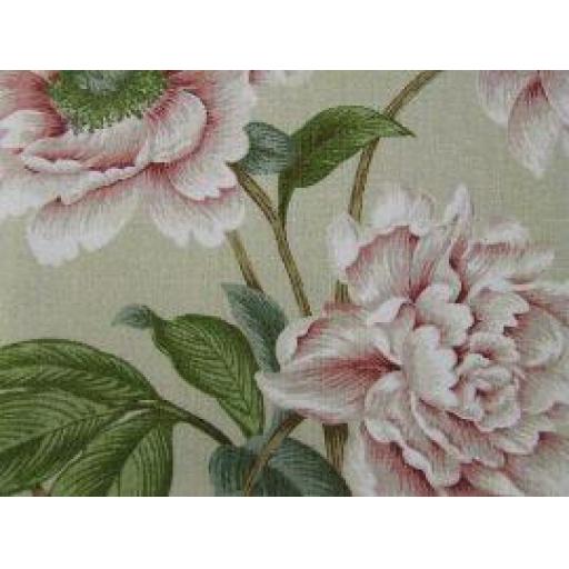 Giselle F4230/04 Pink/ Green Colefax and Fowler