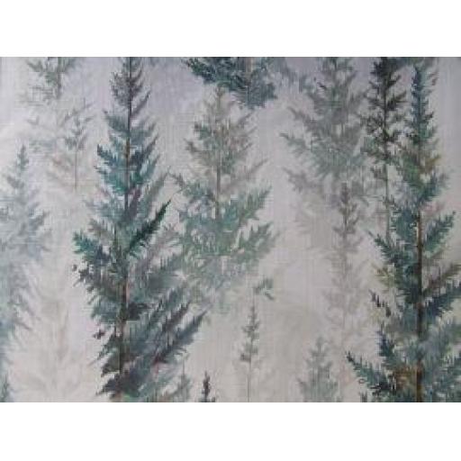 Juniper Pine 226534 Forest